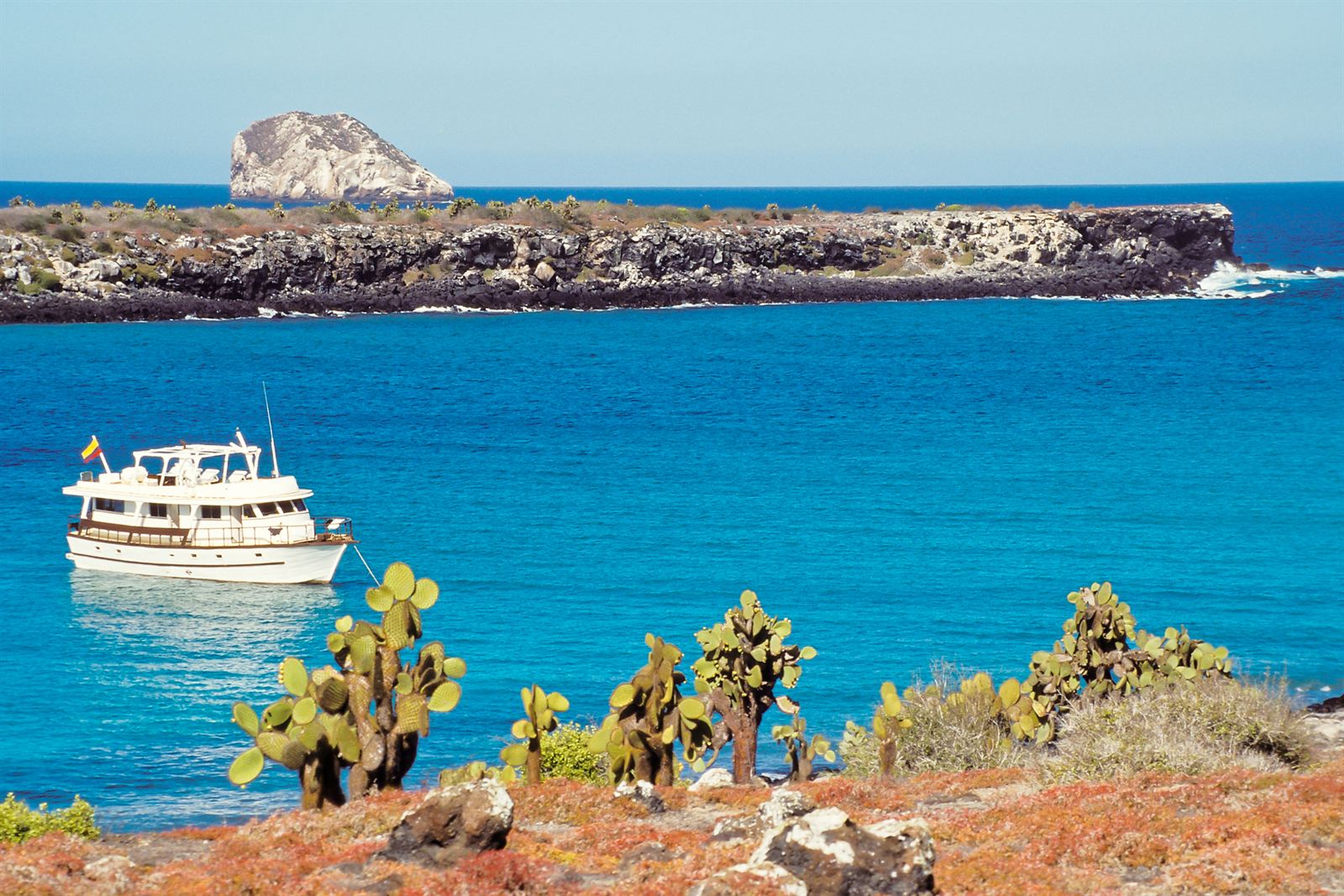 Tourist yacht in turquoise water below Kicker Rock with prickly pear cactus, Galapagos