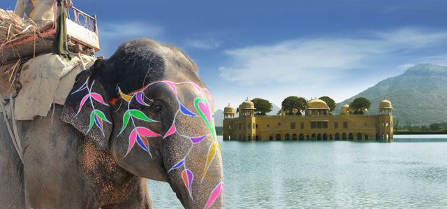 Painted elephant beside Man Sagar Lake with the Jal Mahal water palace in Jaipur, India