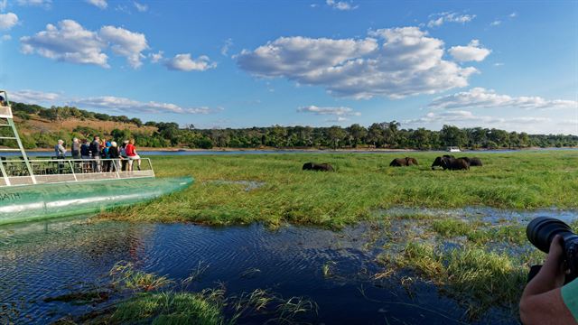 Tourist river boat on the Chobe with elephants grazing on the floodplain in Chobe National Park