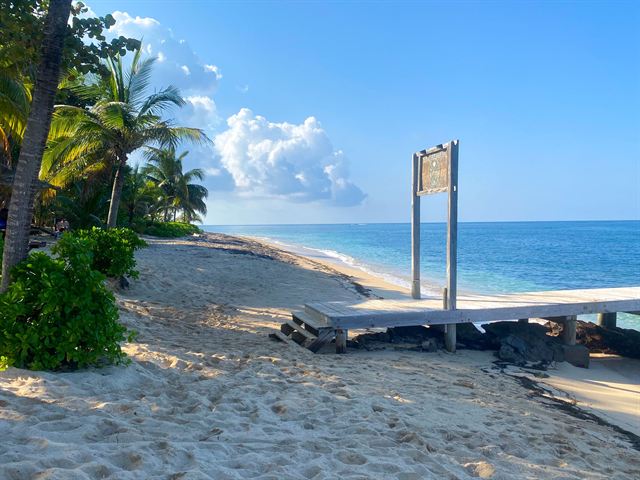 Palm-fringed sandy Camp Bay Beach on Roatan with a wooden sign, deck and bright blue sea