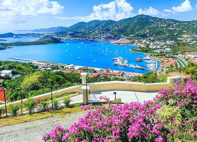 Charlotte Amalie harbour and cruise ships seen from a hilltop terrace with pink bougainvillea, St. Thomas